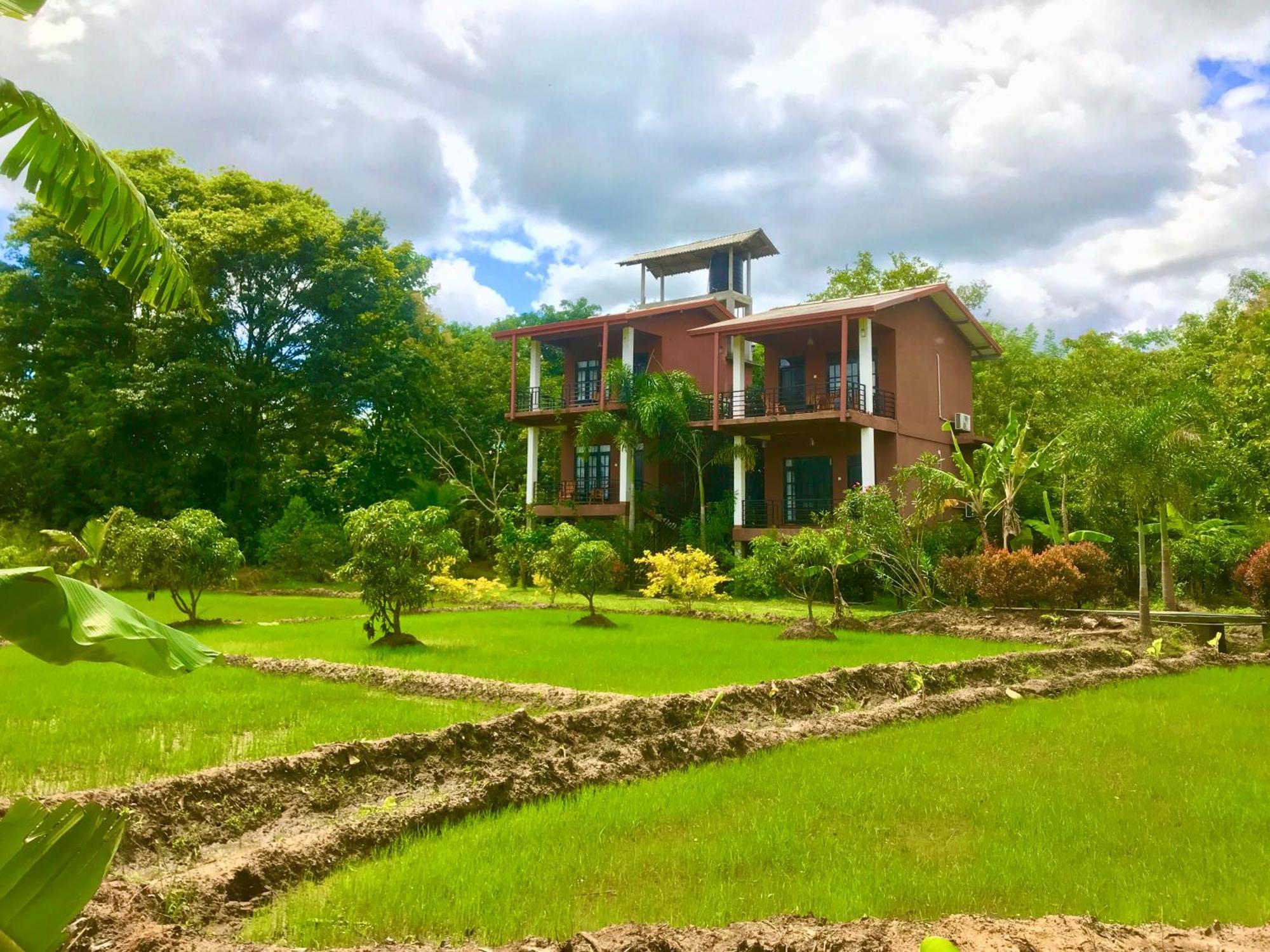 Darshani Lodge Sigiriya Buitenkant foto