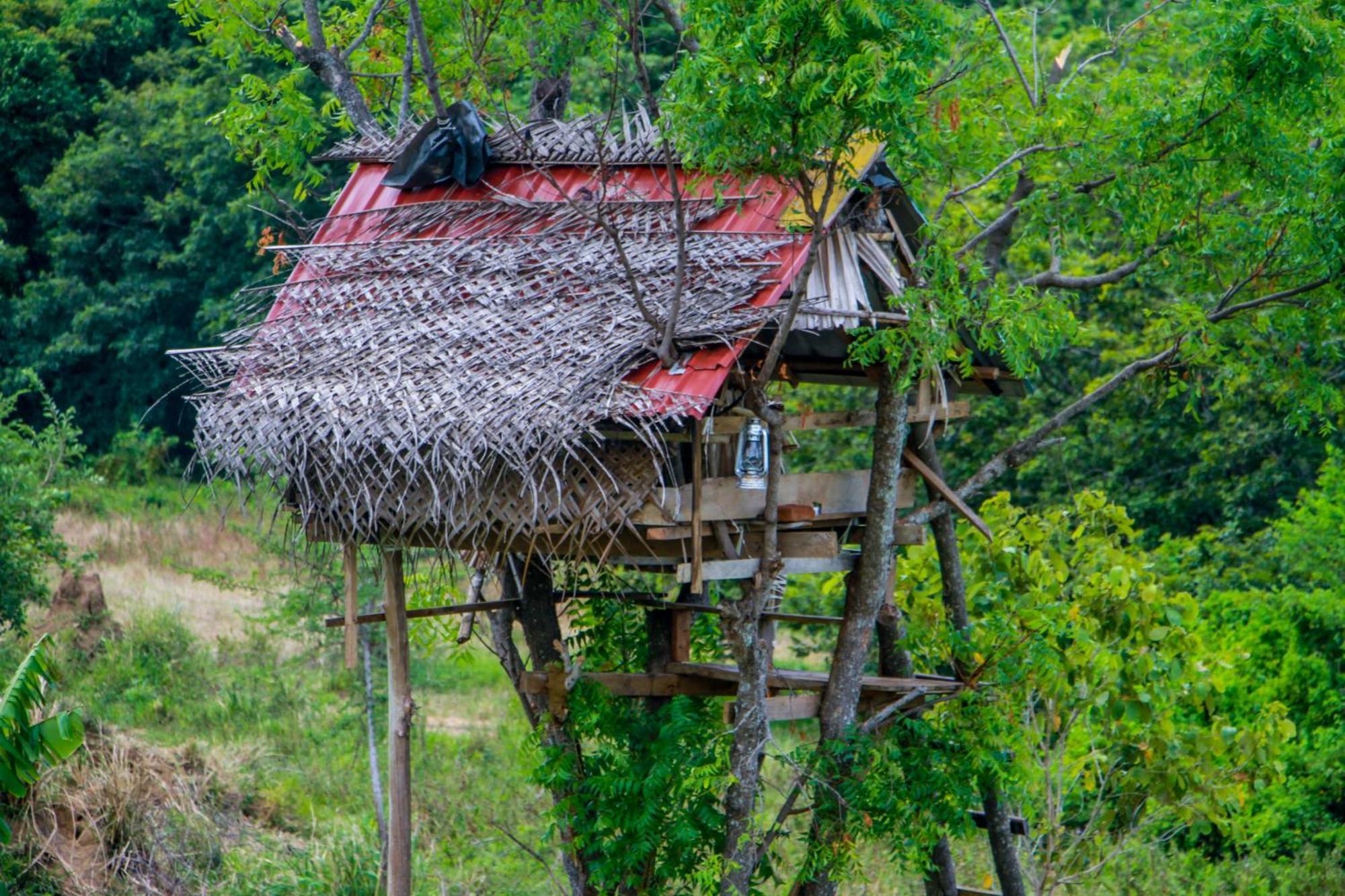 Darshani Lodge Sigiriya Buitenkant foto