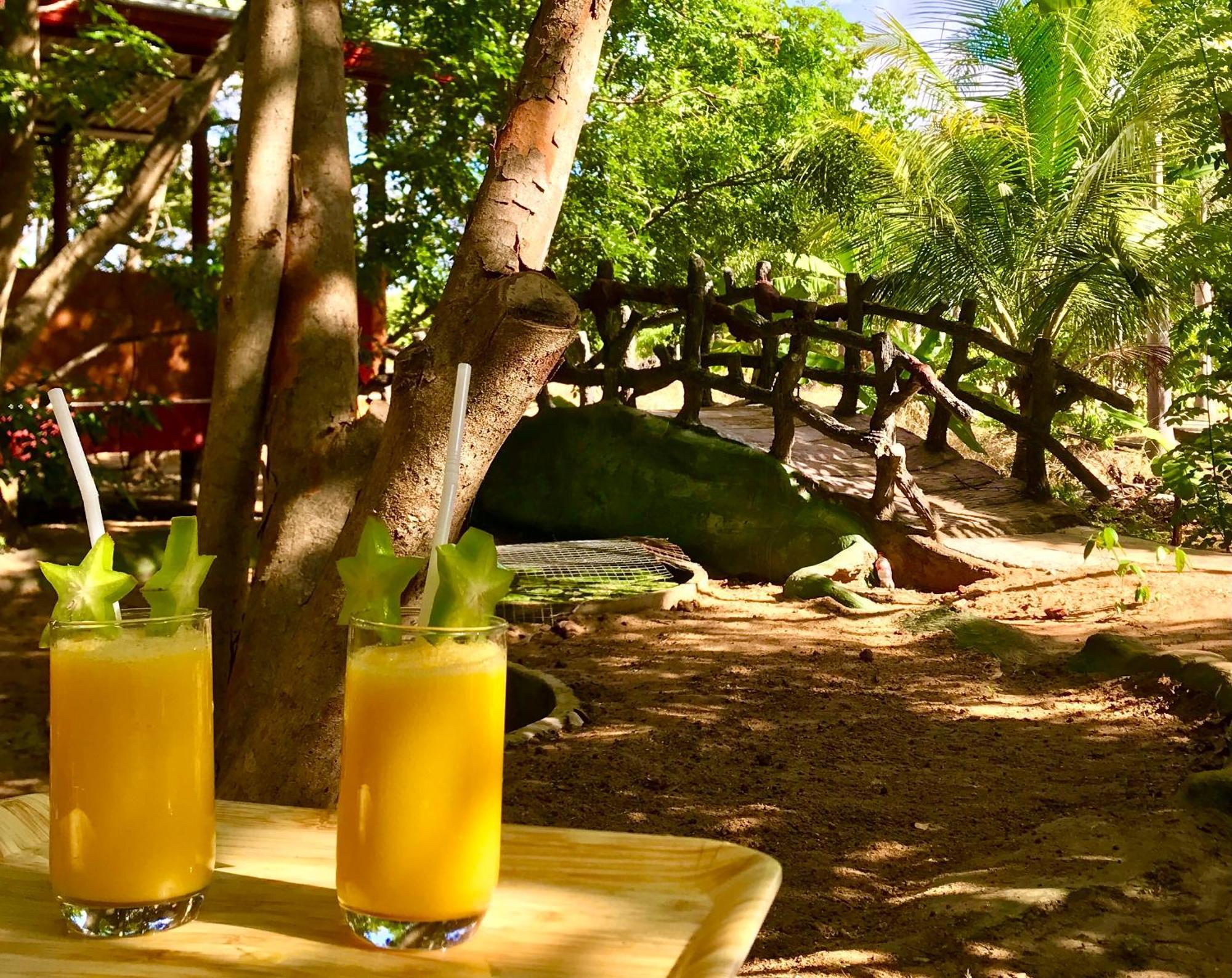 Darshani Lodge Sigiriya Buitenkant foto