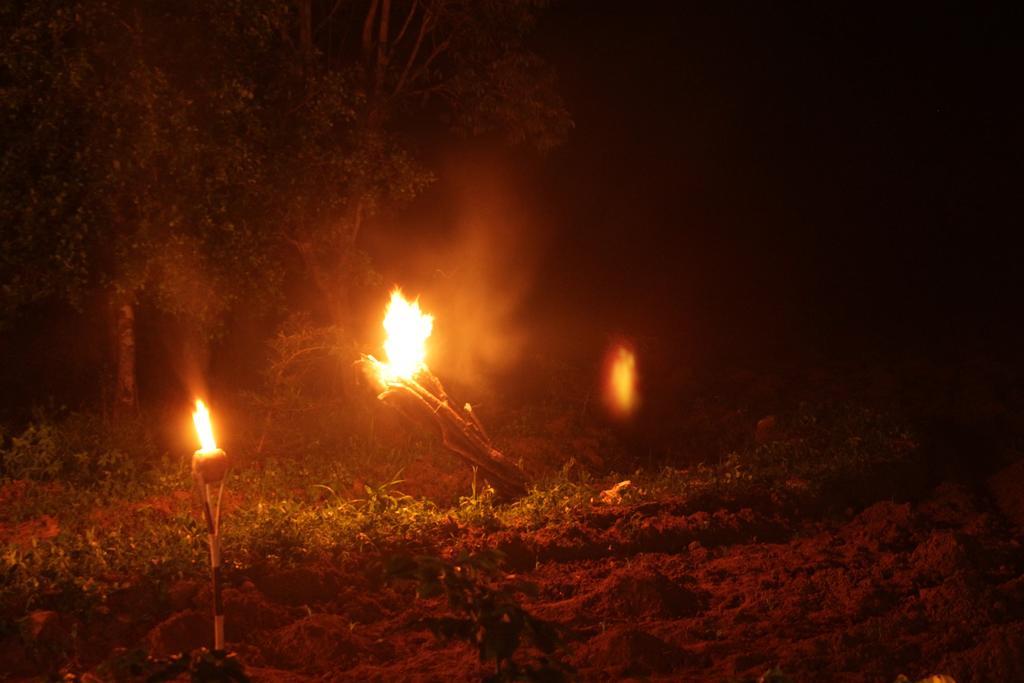 Darshani Lodge Sigiriya Buitenkant foto